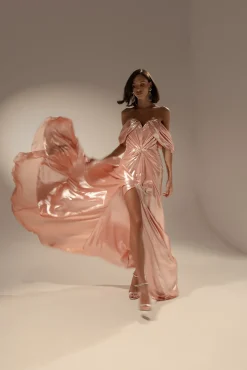 Anisa Long Dress In Seashell