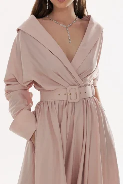 Carrie Taffeta Long Dress In Blush