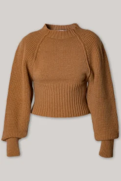 Jophiel Wool and Cashmere-blend Sweater In Rhum
